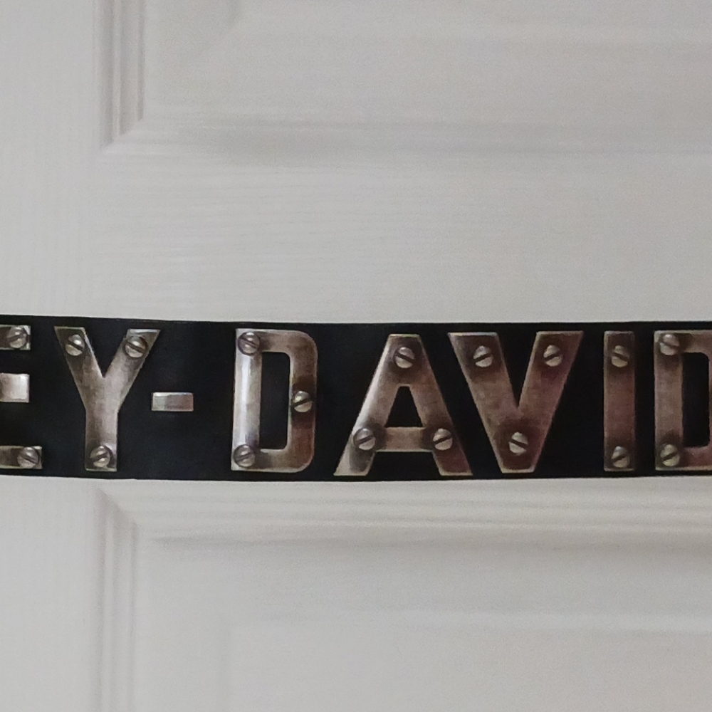 Harley-Davidson men's belt
